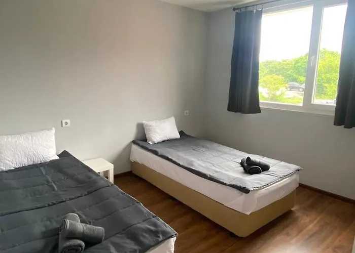 за гости крис 3*